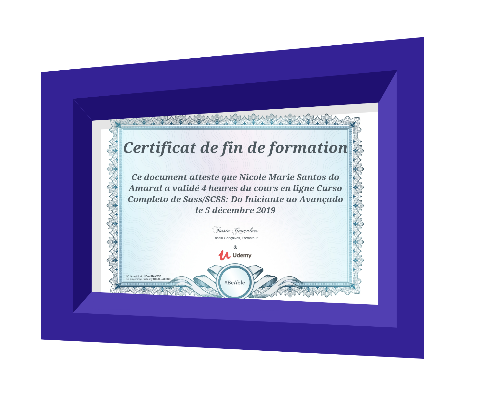 Tableau contenant le diplôme Sass/Scss